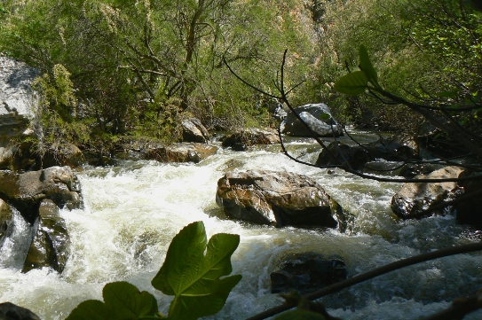 Rio Araxisi